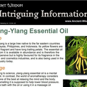 Ylang Ylang Essential Oil Info